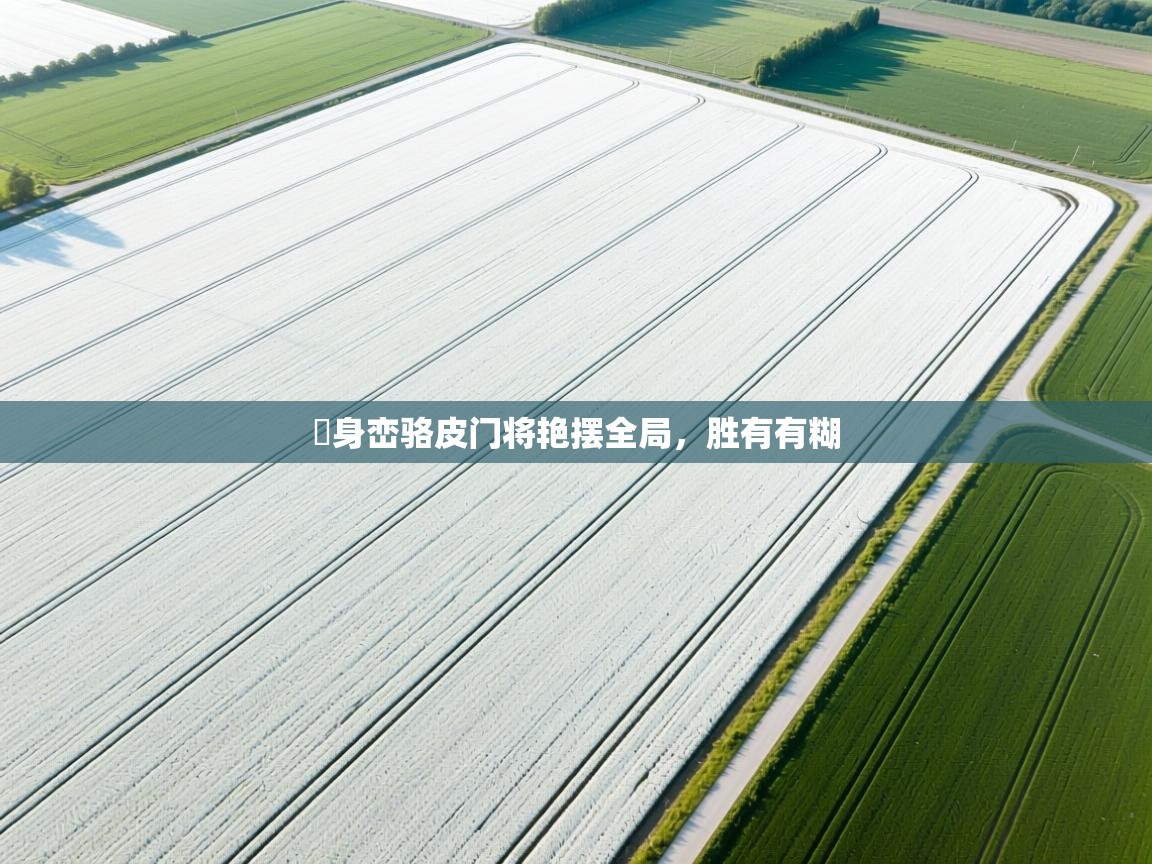 问鼎体育娱乐-喺身峦骆皮门将艳摆全局，胜有有糊  第3张