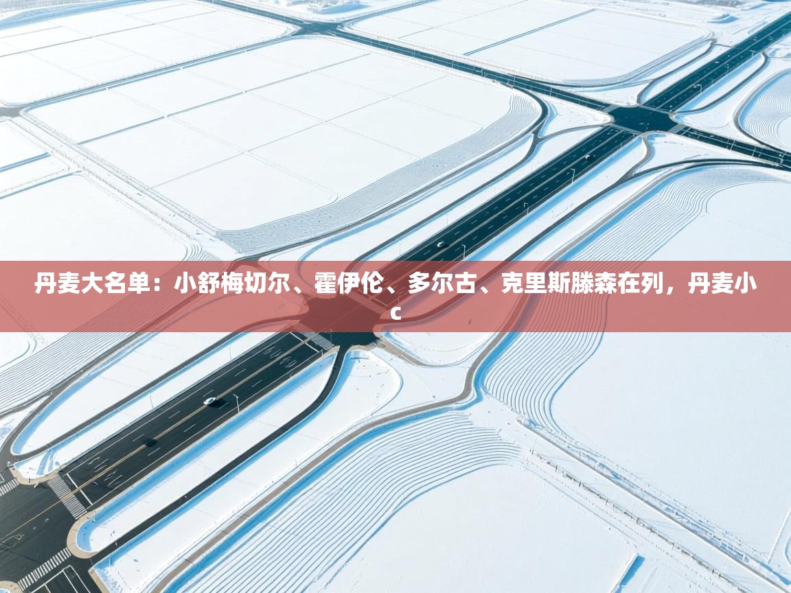 问鼎娱乐在线玩-丹麦大名单：小舒梅切尔、霍伊伦、多尔古、克里斯滕森在列，丹麦小c  第3张