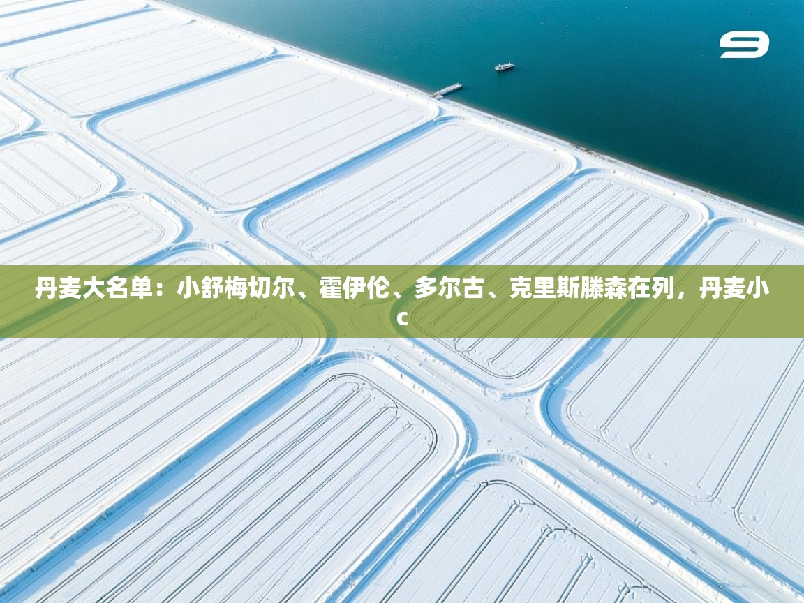 问鼎娱乐在线玩-丹麦大名单：小舒梅切尔、霍伊伦、多尔古、克里斯滕森在列，丹麦小c  第4张