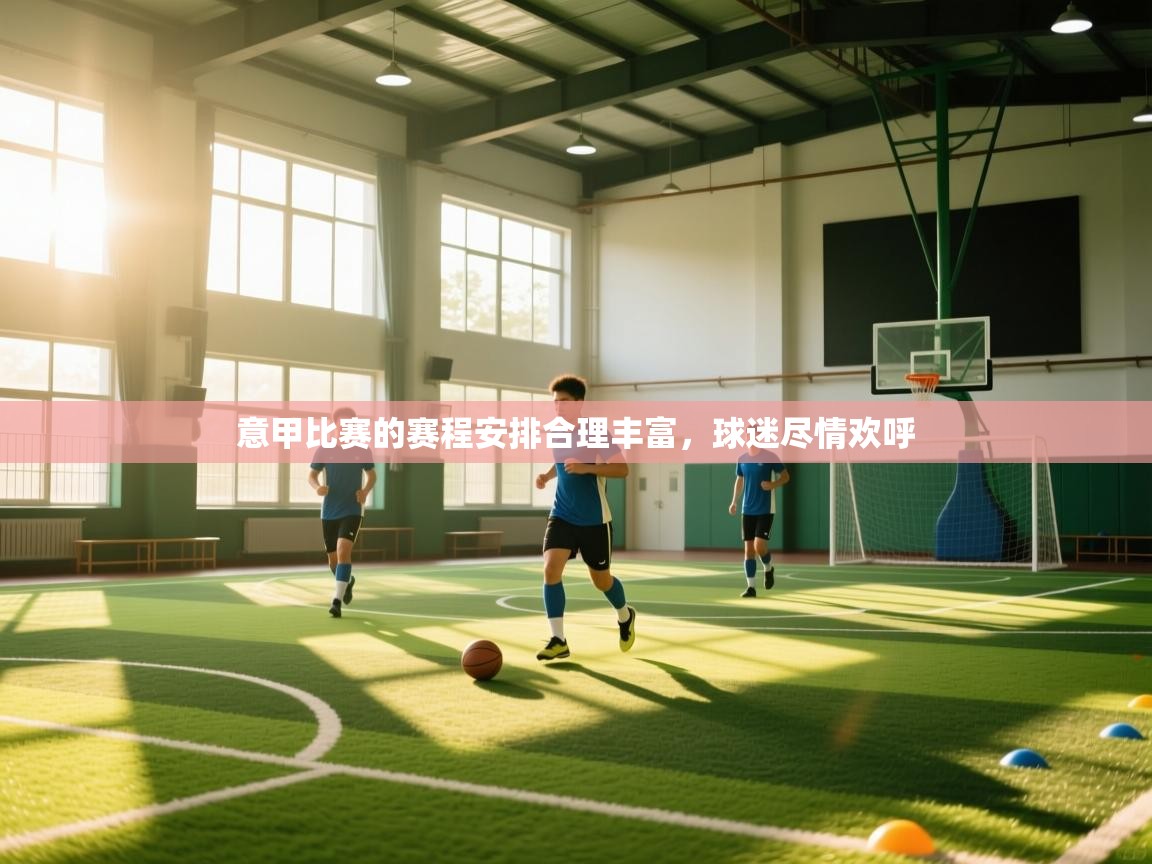 问鼎体育app官方网站入口-意甲比赛的赛程安排合理丰富，球迷尽情欢呼  第3张