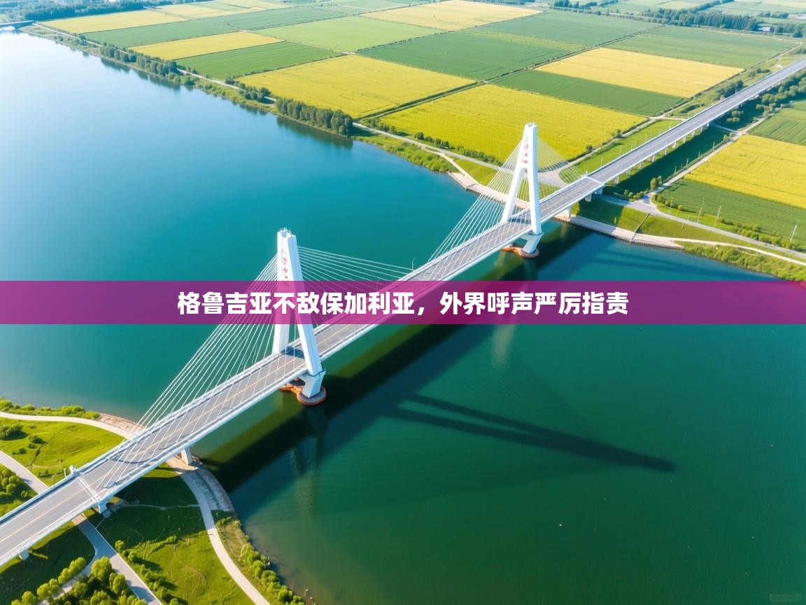 问鼎娱乐app-格鲁吉亚不敌保加利亚，外界呼声严厉指责  第3张