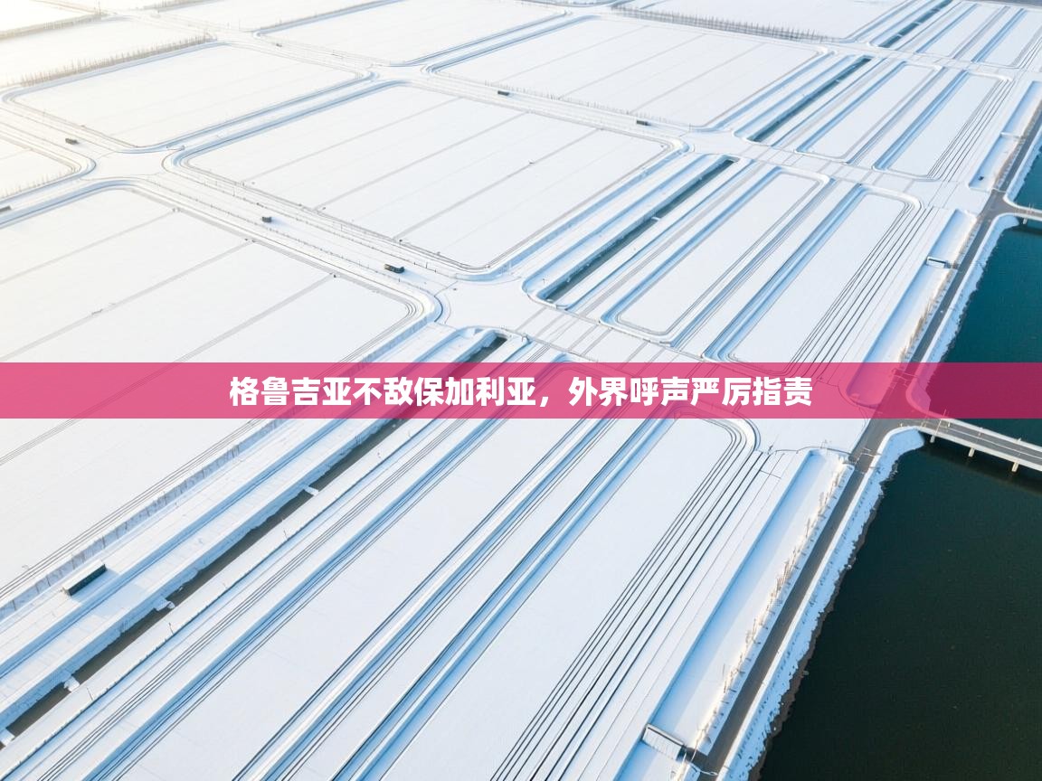 问鼎娱乐app-格鲁吉亚不敌保加利亚，外界呼声严厉指责  第4张