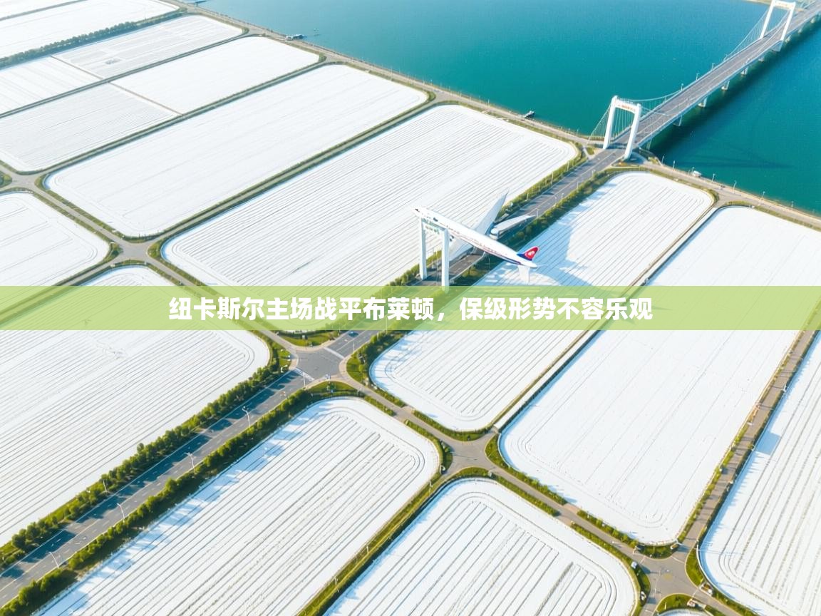 问鼎体育-纽卡斯尔主场战平布莱顿，保级形势不容乐观  第2张