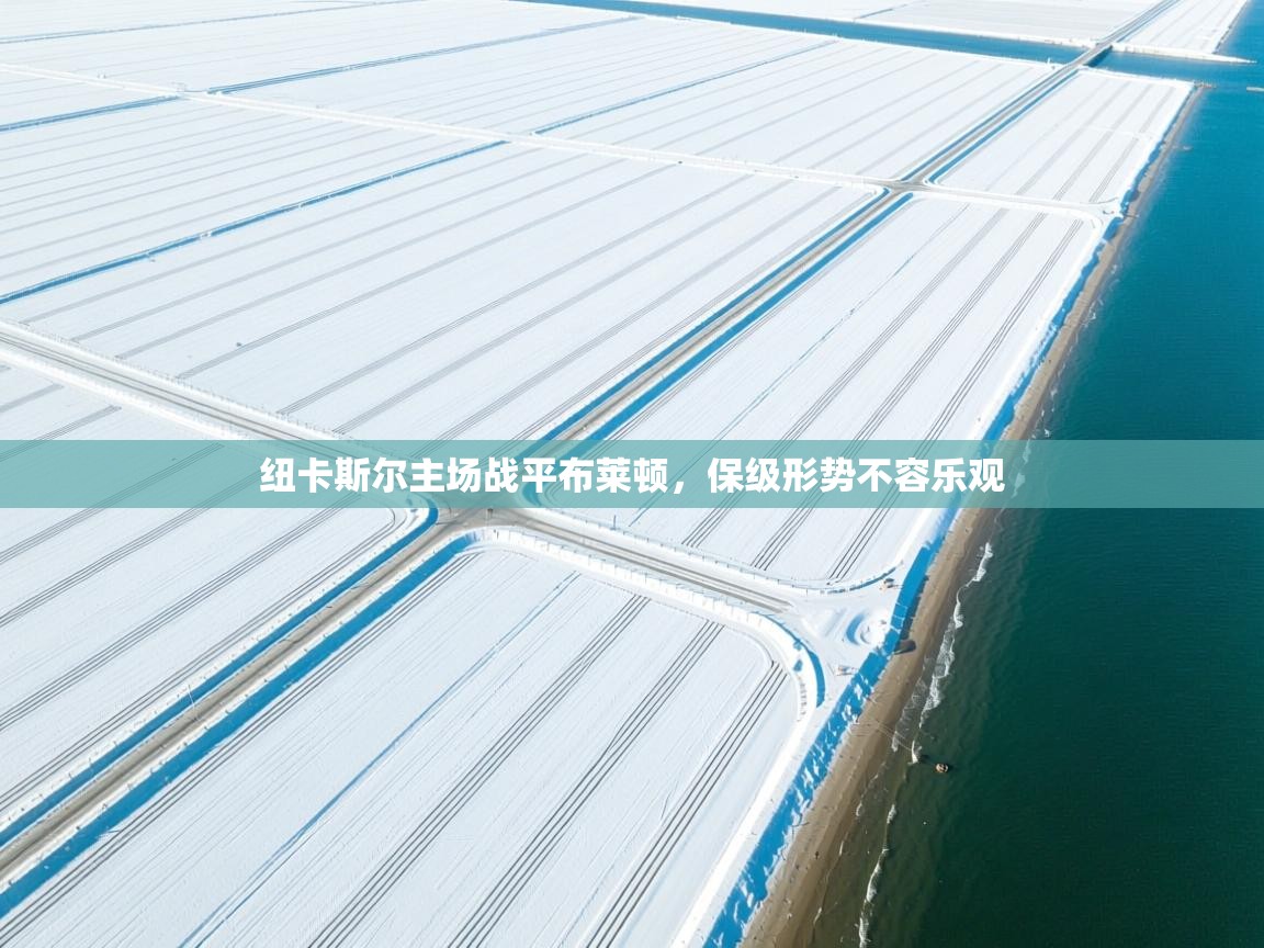 问鼎体育-纽卡斯尔主场战平布莱顿，保级形势不容乐观  第3张