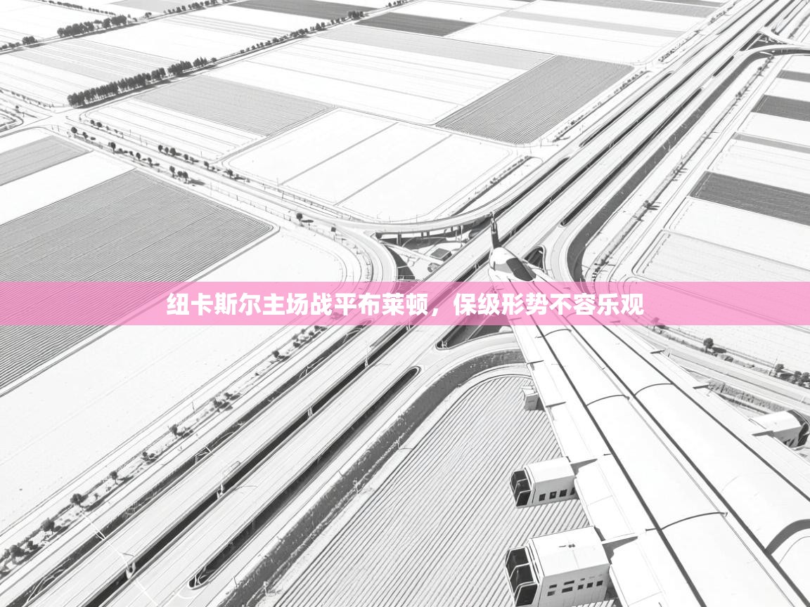 问鼎体育-纽卡斯尔主场战平布莱顿，保级形势不容乐观  第4张