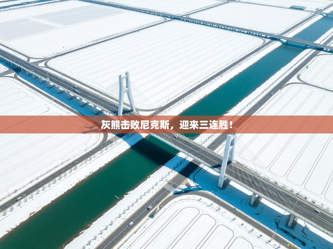 问鼎体育游戏-灰熊击败尼克斯，迎来三连胜！  第2张