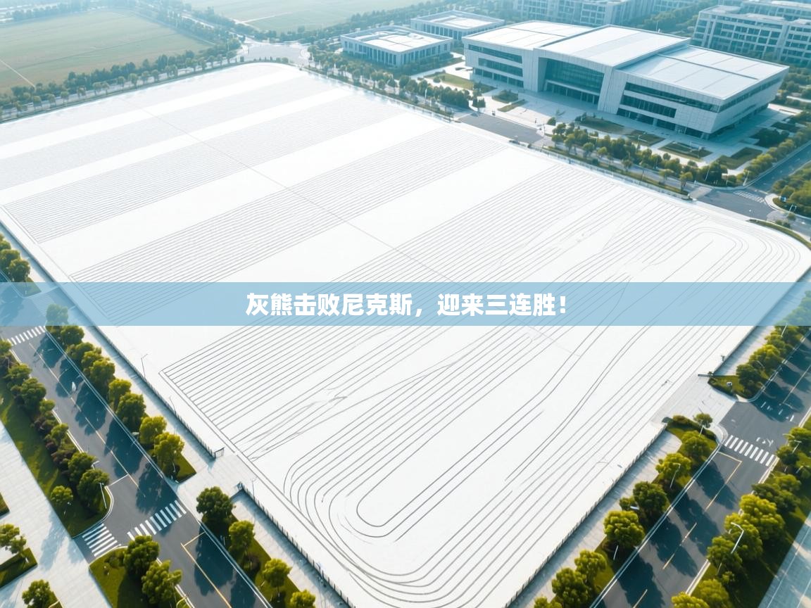 问鼎体育游戏-灰熊击败尼克斯，迎来三连胜！  第3张