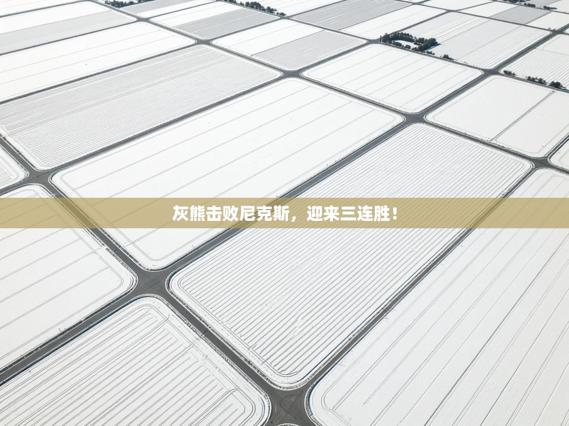 问鼎体育游戏-灰熊击败尼克斯，迎来三连胜！  第4张